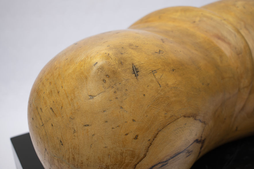 soledad belcuore esculturas