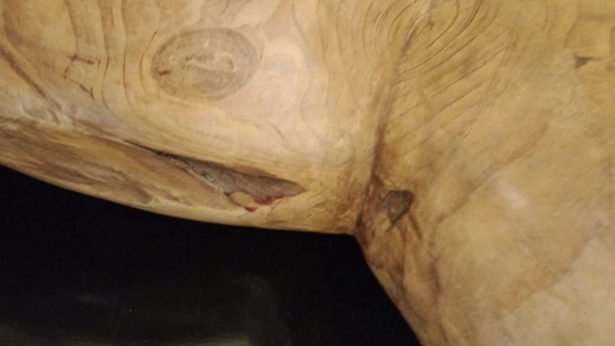 soledad belcuore esculturas