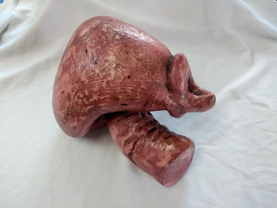 cervix soledad belcuore