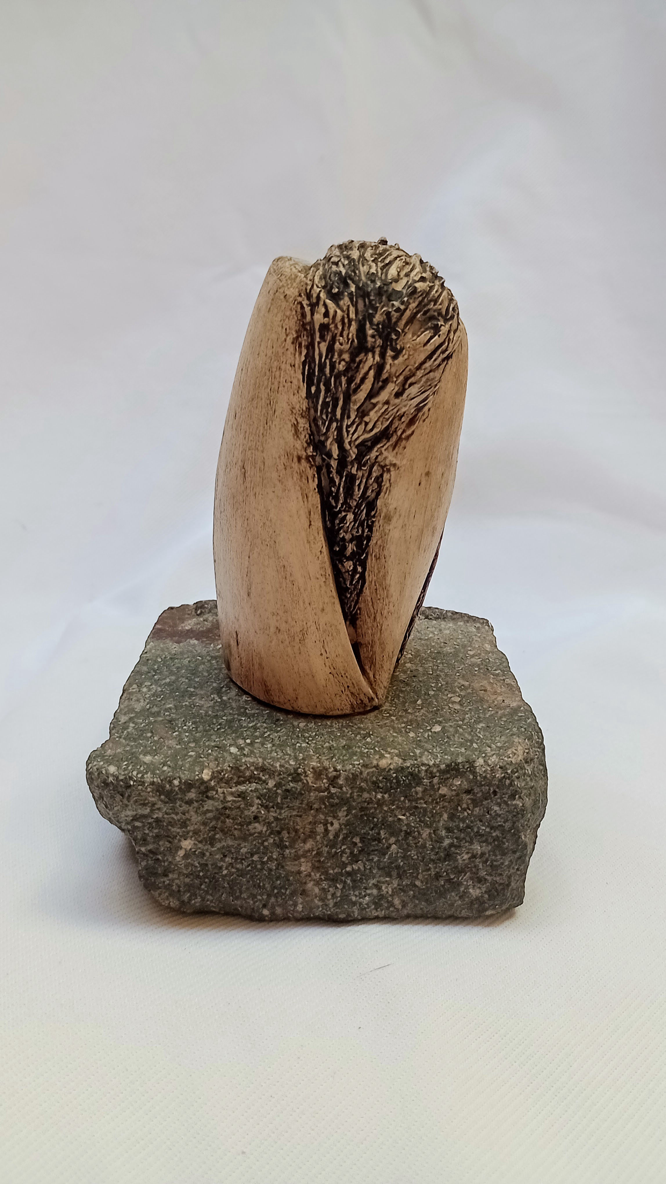 soledad belcuore esculturas