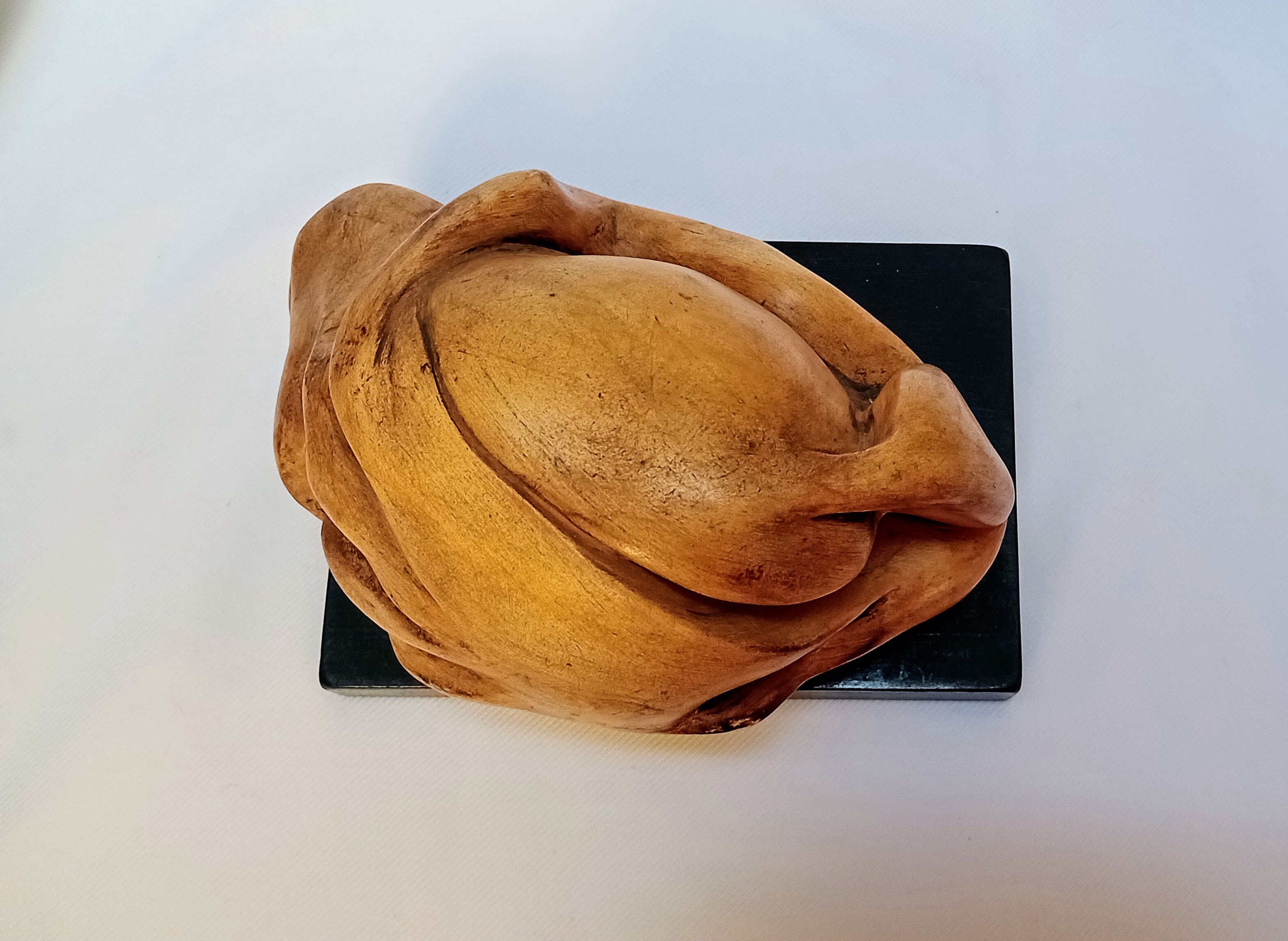 soledad belcuore esculturas
