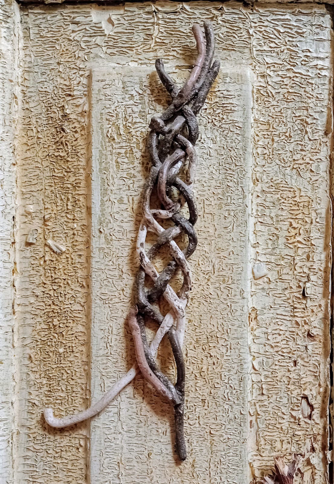 soledad belcuore esculturas